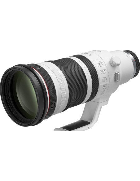 RF 100-300mm f/2.8 L IS USM