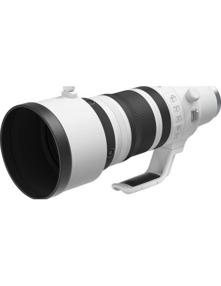 RF 100-300mm f/2.8 L IS USM
