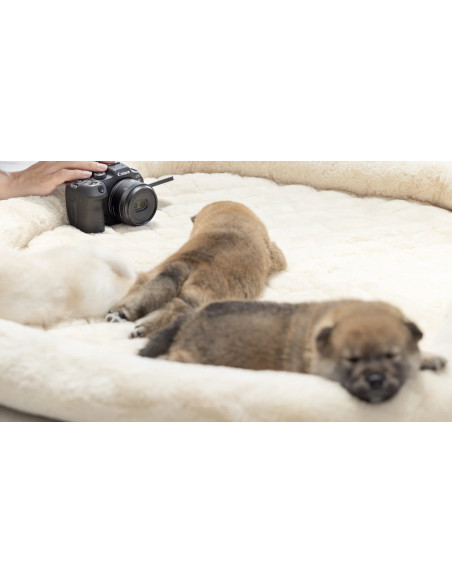 RF-S 7.8mm F4 STM DUAL MILC Lente stereoscopica Nero