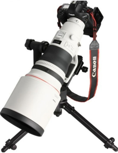 EF 400mm f/2.8L IS II USM