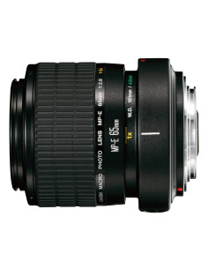 CANON MP-E 65 f/2.8 1-5X MACRO