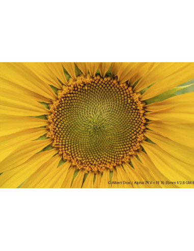 FE 16-35mm f/2.8 G Master II