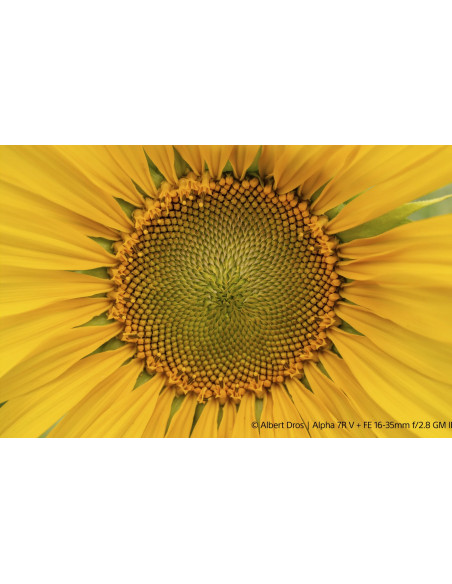 FE 16-35mm f/2.8 G Master II