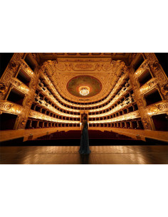 SONY SEL 12-24 F2,8 FULL-FRAME G MASTER, E-MOUNT 2