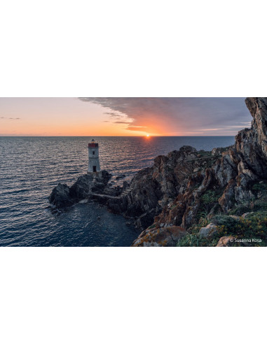 FE 24-70mm f/2.8 G Master II