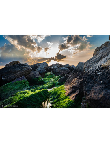 FE 24-70mm f/2.8 G Master II