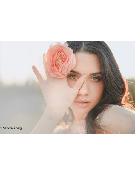 FE 50mm f/1.2 G Master