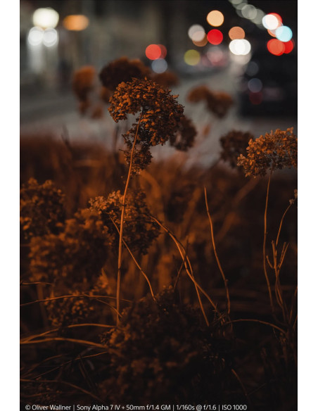 SONY SEL 50 F1,4 FULL-FRAME G MASTER E-MOUNT