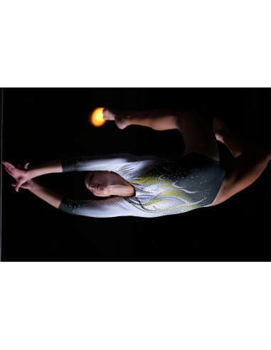 SONY SEL 300 F2,8 OSS FULL-FRAME G MASTER E-MOUNT