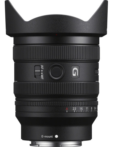 FE 24-50mm f/2.8 G
