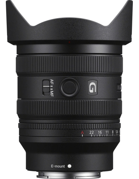 FE 24-50mm f/2.8 G