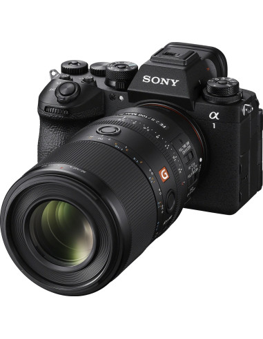 FE 100mm f/2.8 Macro G Master