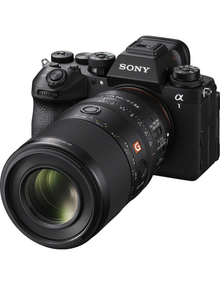 FE 100mm f/2.8 Macro G Master