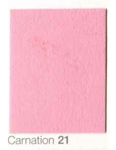 COLORAMA 2,72X11M CARNATION