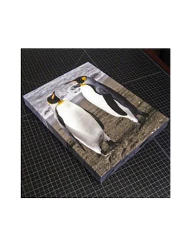 4er Corner Set Gallerie Wrap Standard