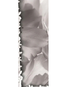 M711 13x18 Bianco Cornice per foto singola