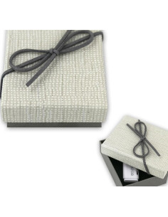 BX1W Armadietto portaoggetti Rettangolare Carta Grigio