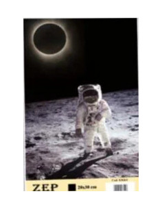 Basic Frame Cornice per foto singola Oro