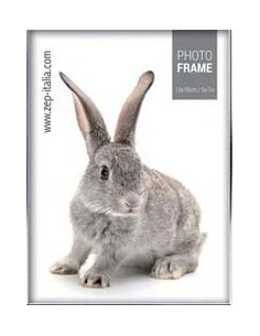 Doneck B Cornice per foto singola Grigio