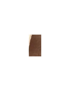 Fondale In cartoncino 2,72 x 11 Dandelion