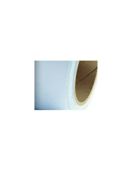 Fondale In cartoncino 2,72 x 11 Forget Me Not