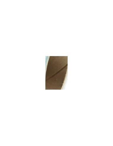 Fondale In cartoncino 2,72 x 11 Lobelia