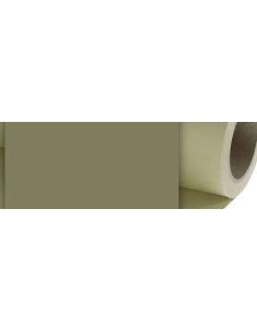 Fondale In cartoncino 2,72 x 11 Leaf