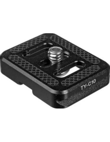 Piastra TY-C10