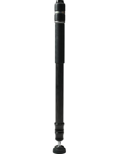 SVS60 con Testa Video S3