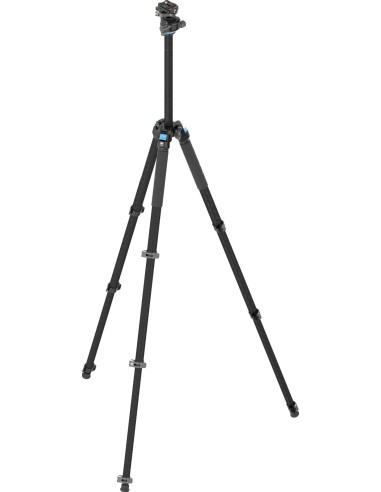 Treppiede L-224F + Testa KS-10