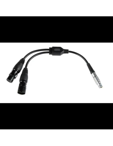 Cavo Adattatore DMX Per Pavotube X
