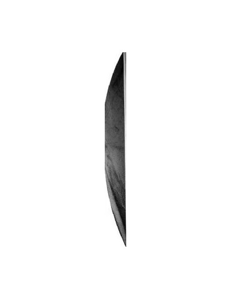 SLHK4-SB5050 set di attrezzature per studio fotografico Nero