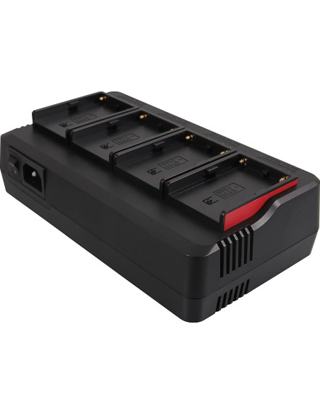 1691 carica batterie Caricatore per batteria AC