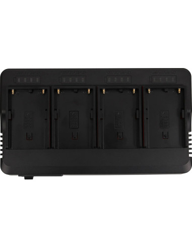 1691 carica batterie Caricatore per batteria AC