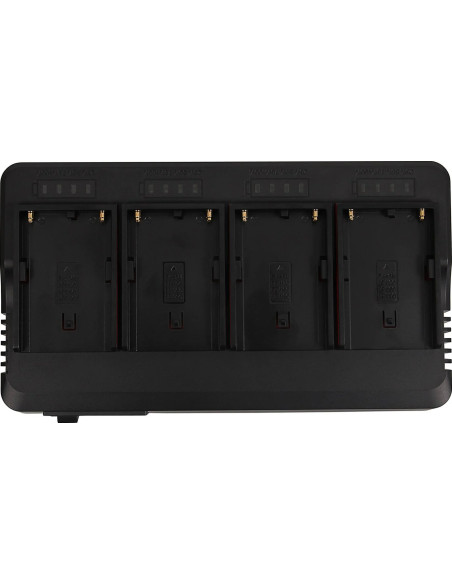 1691 carica batterie Caricatore per batteria AC