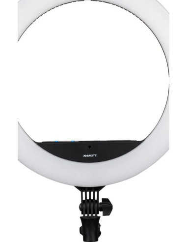 Halo 16C 31 W