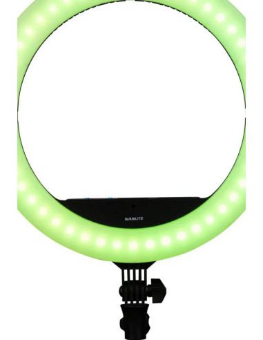 Halo 16C 31 W
