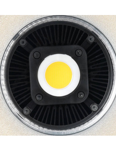 C60