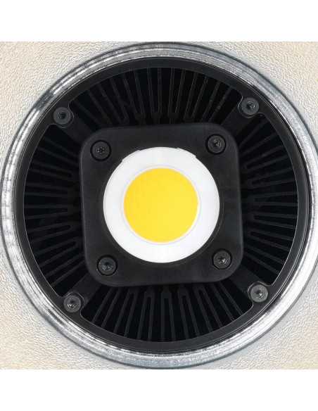 C60