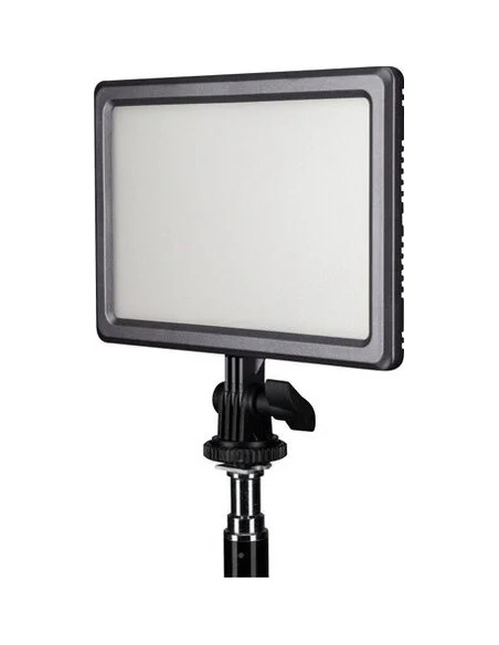 LumiPad 11 Bi-Color