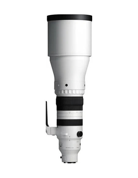 300-600mm f/4 DG OS Sports L-Mount