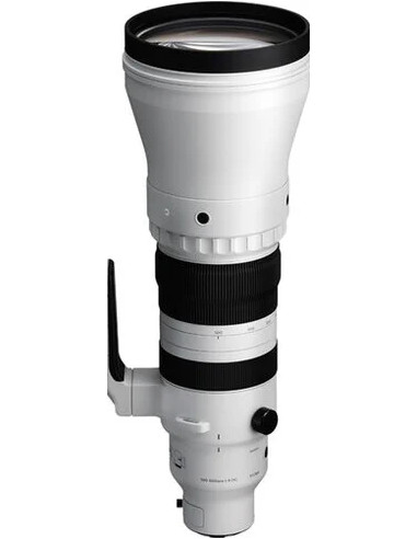 300-600mm f/4 DG OS Sports L-Mount