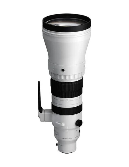 300-600mm f/4 DG OS Sports L-Mount