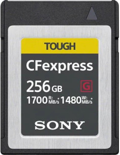 CFexpress G Type B Card 256GB