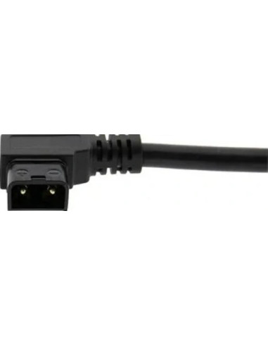 Premium PD100W Adattatore Multifunzionale da D-Tap a USB-C per Alimentazione Telefono