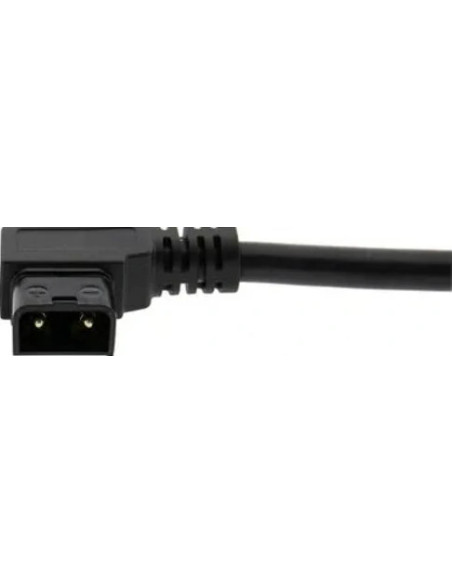 Premium PD100W Adattatore Multifunzionale da D-Tap a USB-C per Alimentazione Telefono