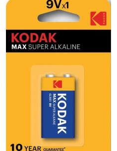 9V Batteria monouso Alcalino