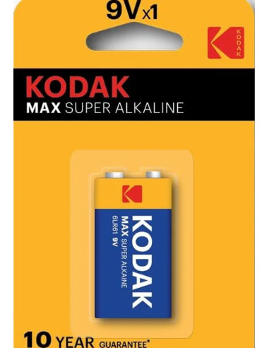 9V Batteria monouso Alcalino