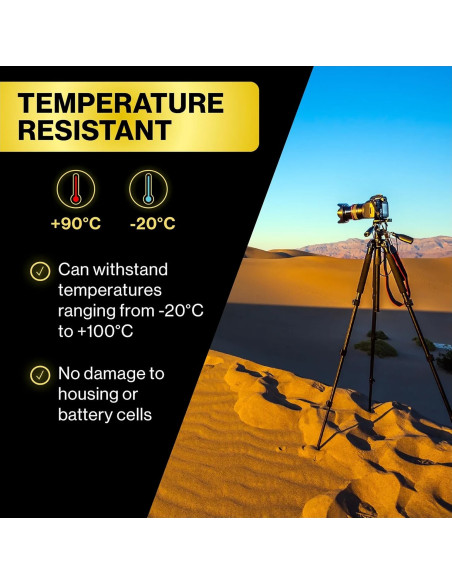 DMW-BLK22 Protect 2250mAh 7,2V
