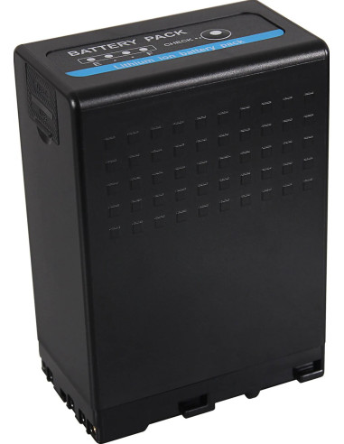 Premium per Sony BP-U68 BP-U65 BP-U60 6900mAh incl. D-Tap e porte USB